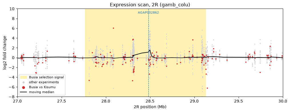 <Figure size 1200x400 with 1 Axes>