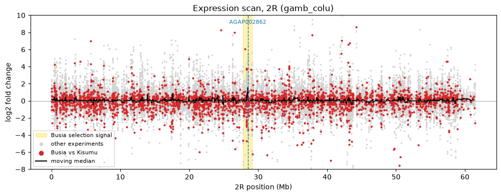 <Figure size 1200x400 with 1 Axes>